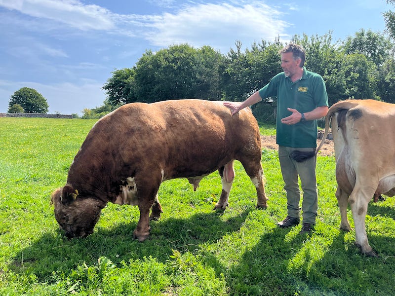 2025-6-21 Gary and Buttercorn Atticus on Miller Farm in Lake District England photo by Tanya Briley