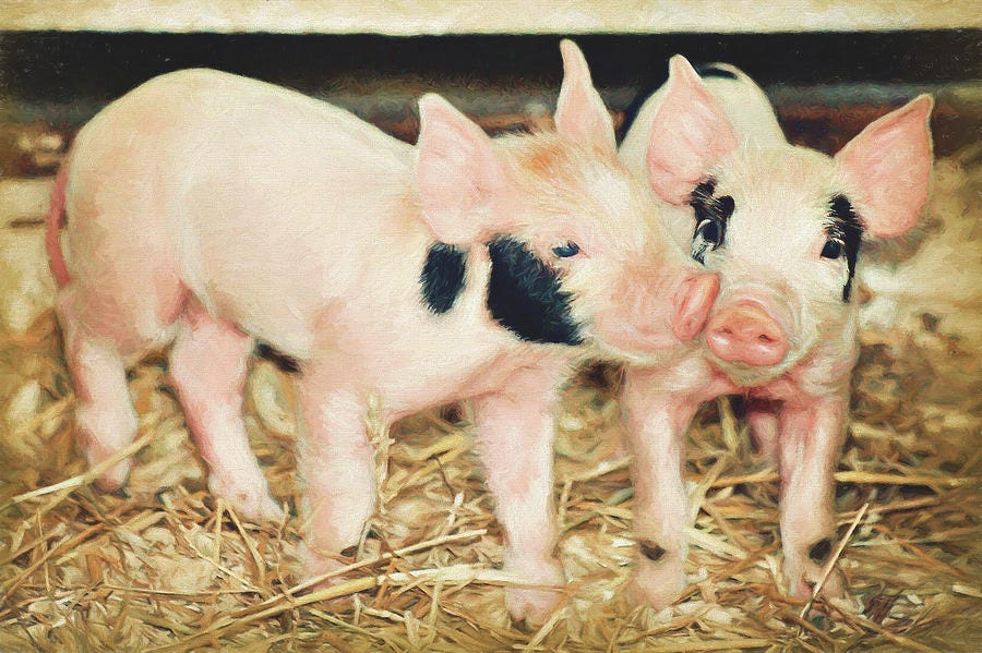 Piglets in a Poke Painterly Version Photograph by Carrie Ann Grippo-Pike - Fine Art America