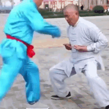 Kung Fu Nuts GIF - Kung Fu Nuts Kung Fu Training GIFs