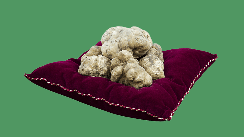 truffles so expensive