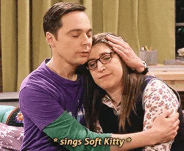 Pin by Rita W on Bazinga | Big bang theory, Big bang theory funny, Big bang  theory show
