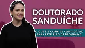 Doutorado sanduíche: o que é e como conseguir bolsa de estudos no Exterior  - Partiu Intercâmbio - YouTube