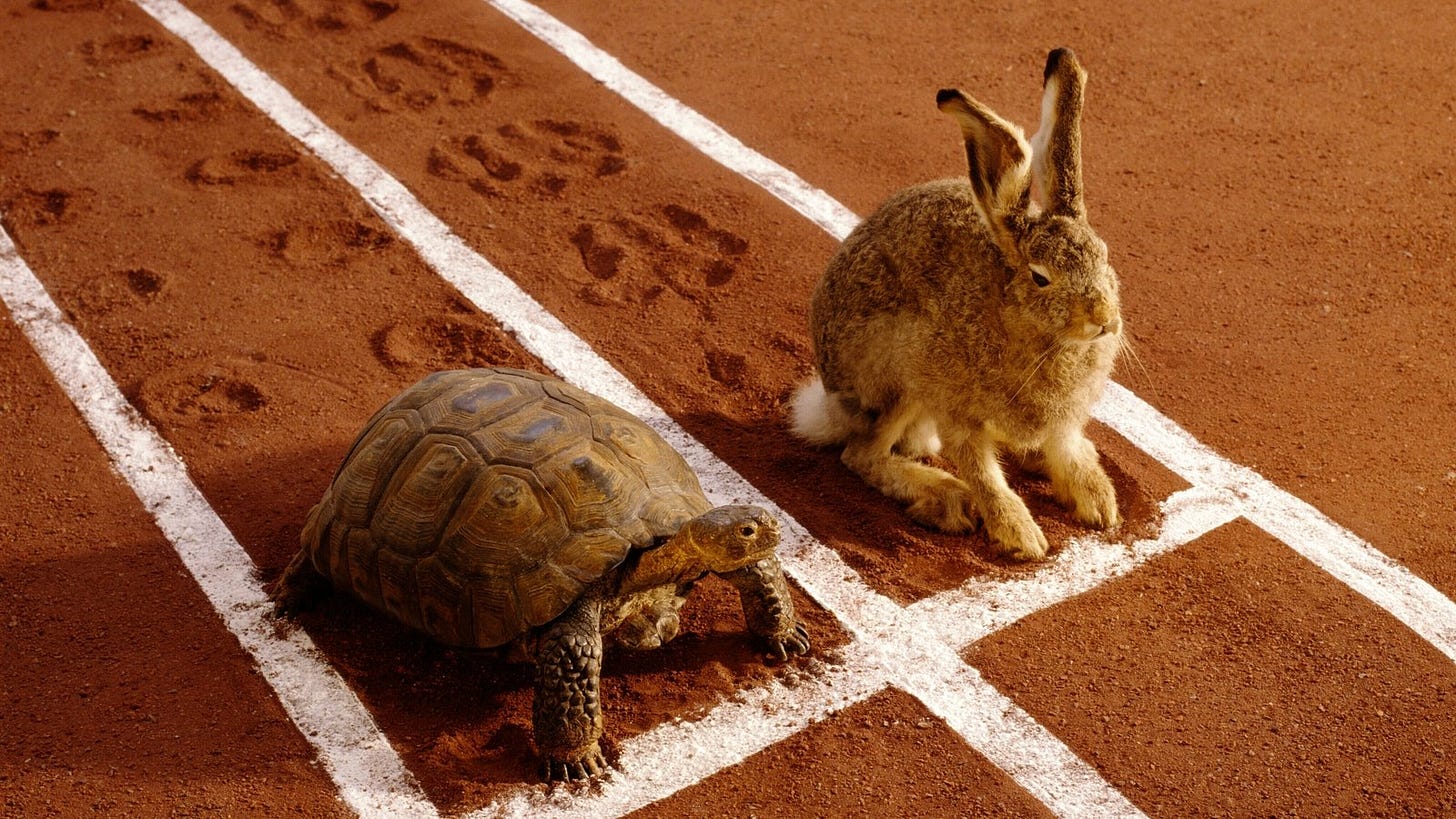 The many variations on The Tortoise and the Hare