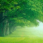 Annum: Midsummer