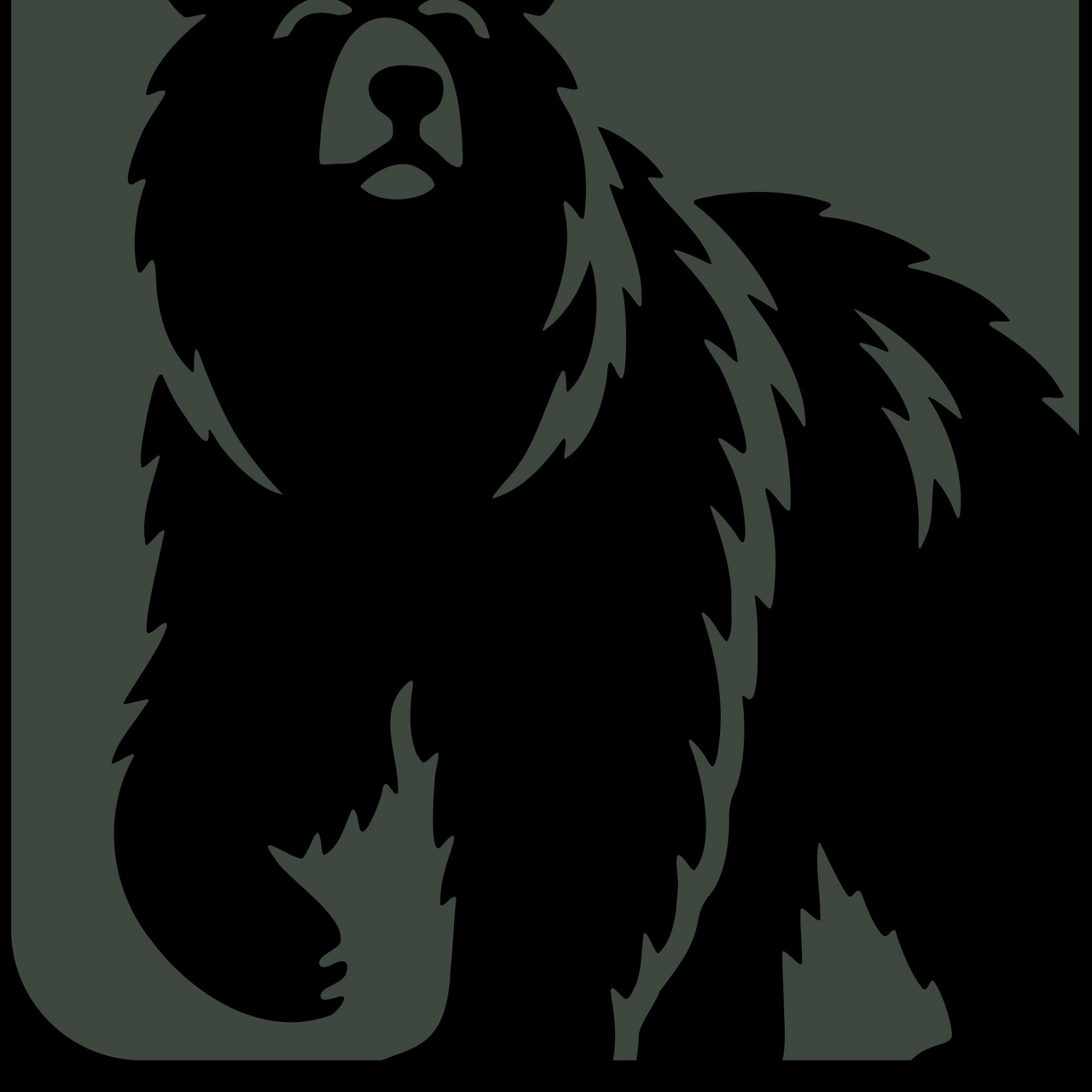 Bearly Written Newsletter, by blackbear communications
