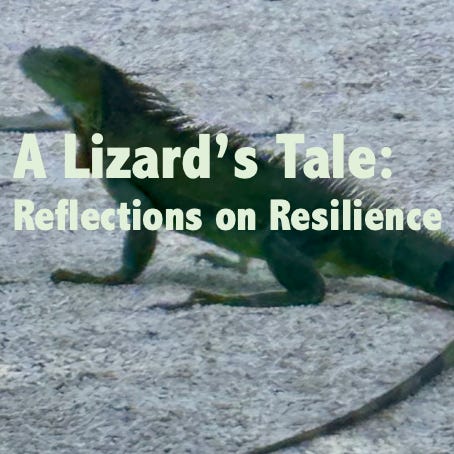 A Lizard's Tale: Reflections on Resilience