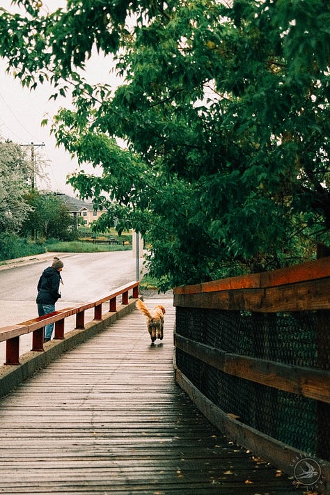 Fuji photographs of life in Montana by Tyler Knott Gregson