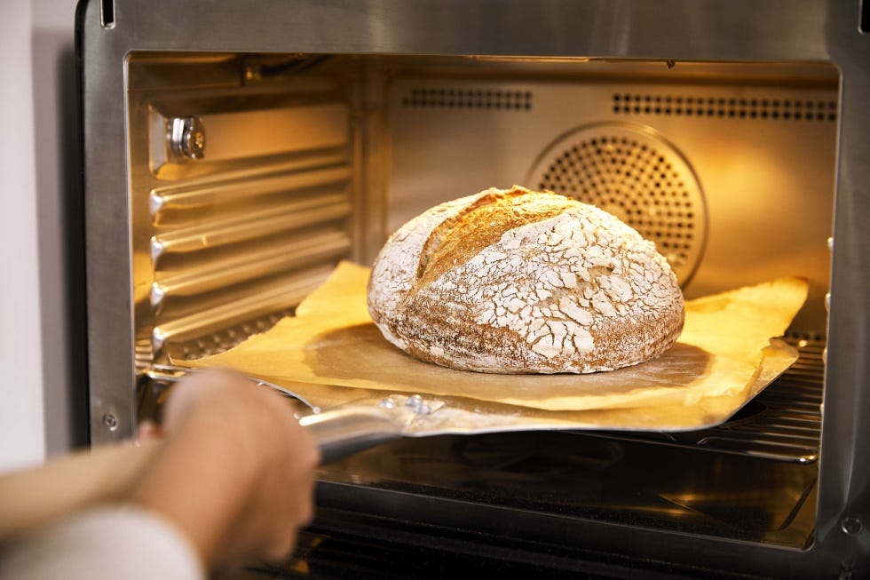 Anova's $600 convection-steam combo oven is finally available to order |  Engadget