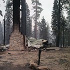 I Guess It Was Just Our Turn to Burn