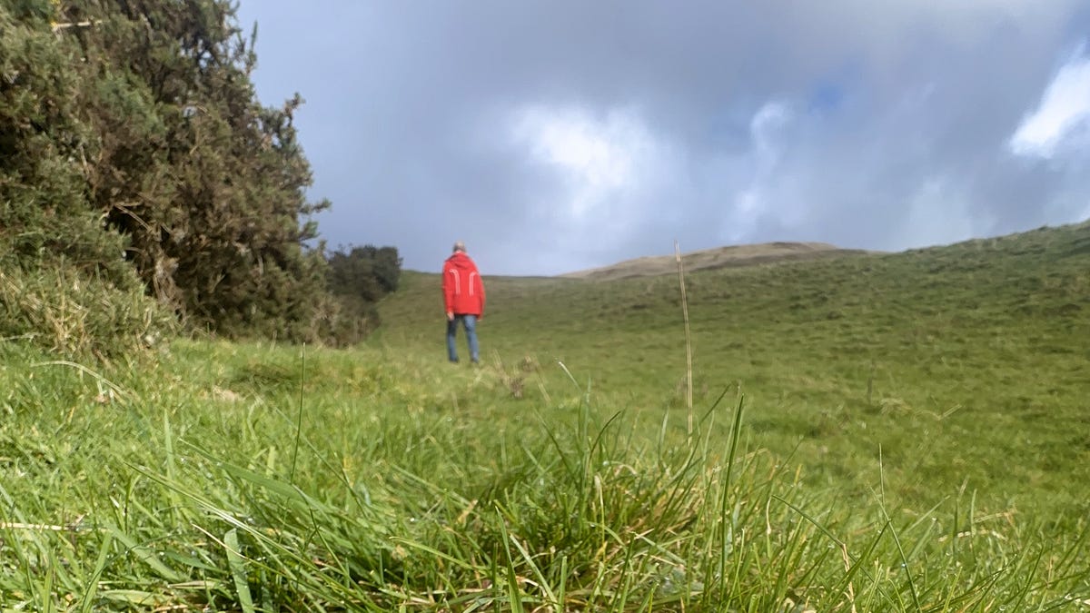 The Art of Attention