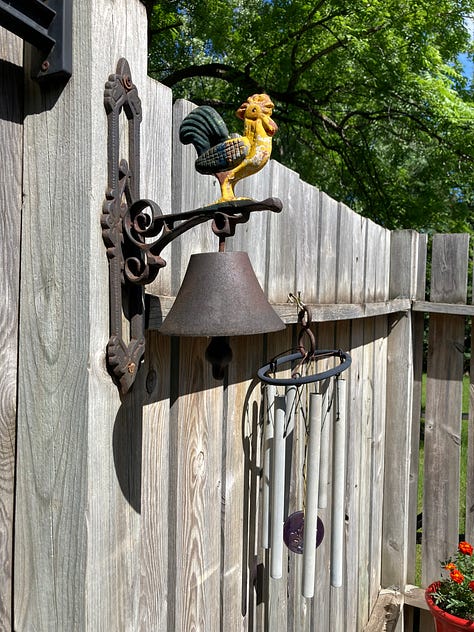 Series of summer time photos.