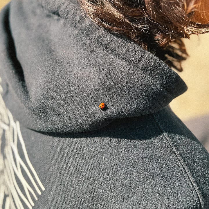 La seule manière dont les esprits m'ont parlé était à travers le message des coccinelles