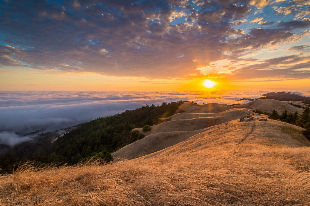 Image result for sunset mt tamalpais