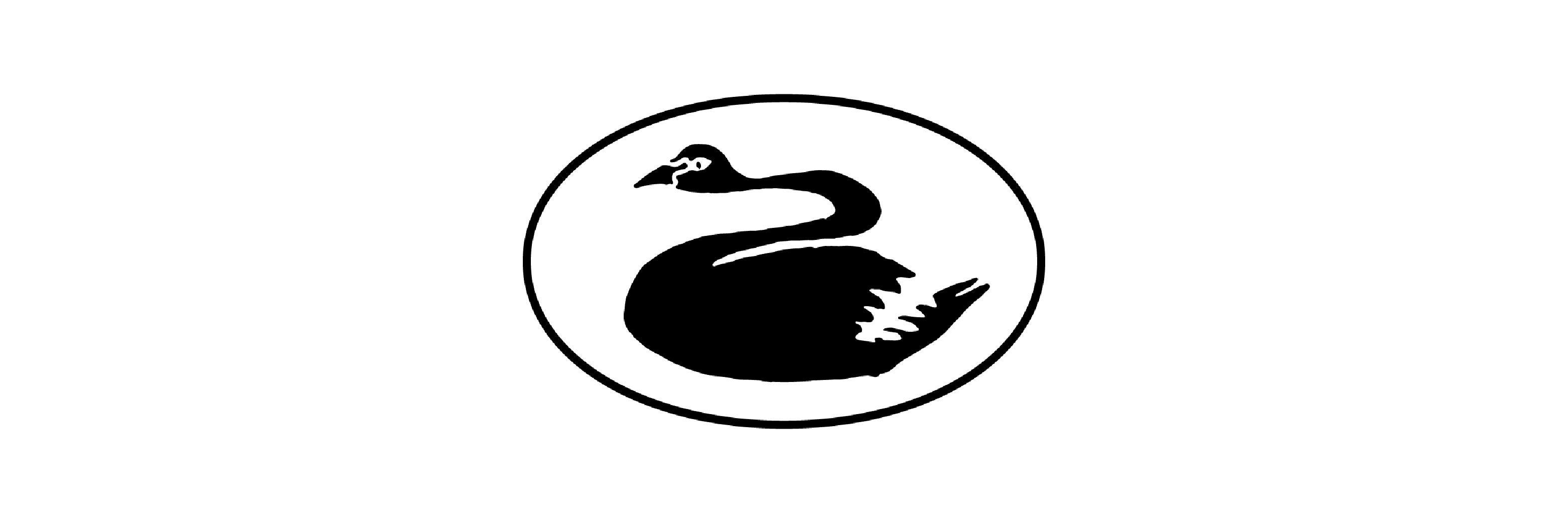 blkswn Letter / 黒鳥通信 | Substack