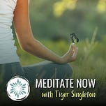 Genuine Spirituality | Tiger's inSight Letters