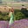 A Little Yoga Space - Lucy's avatar