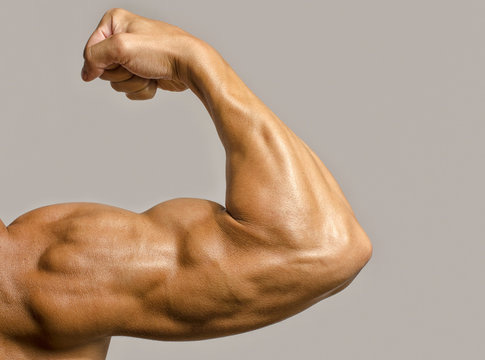 Strong Arm Images – Browse 528,301 Stock Photos, Vectors, and Video | Adobe  Stock