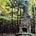 My Adirondack Diary