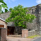 44. Northernmost Horse Chestnut