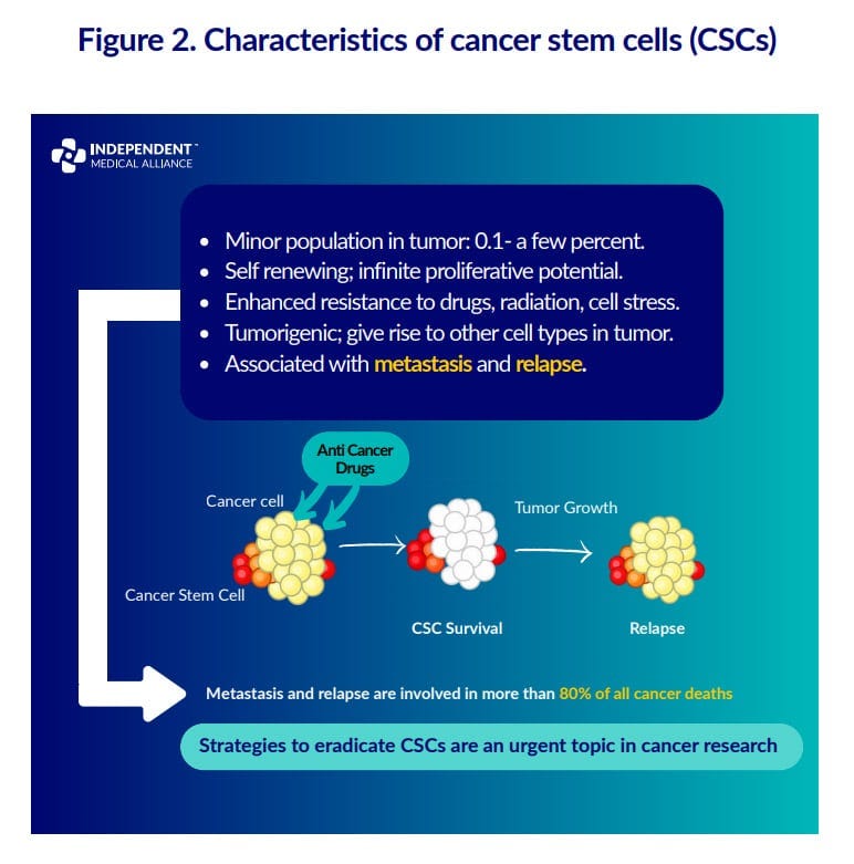 cancer stem cell pathways