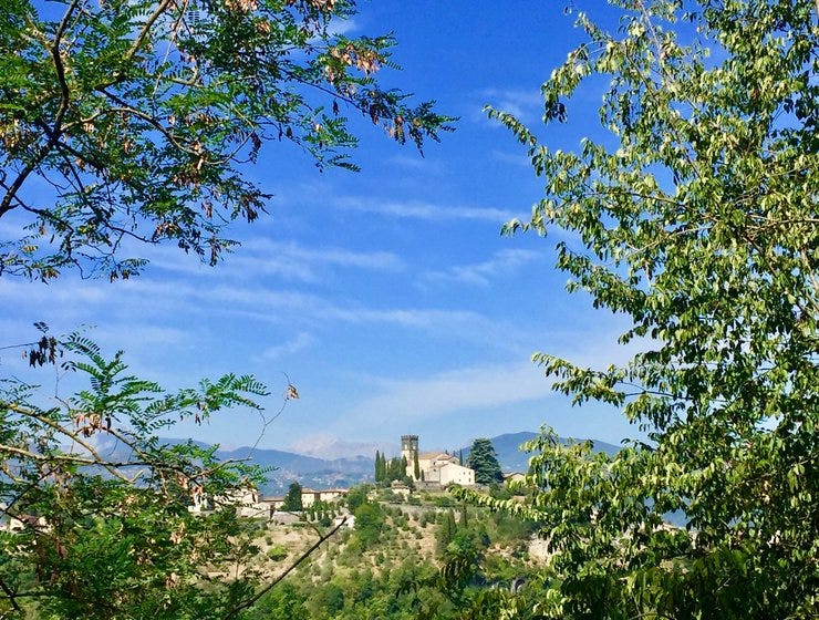 View of Barga from a nearby hillside