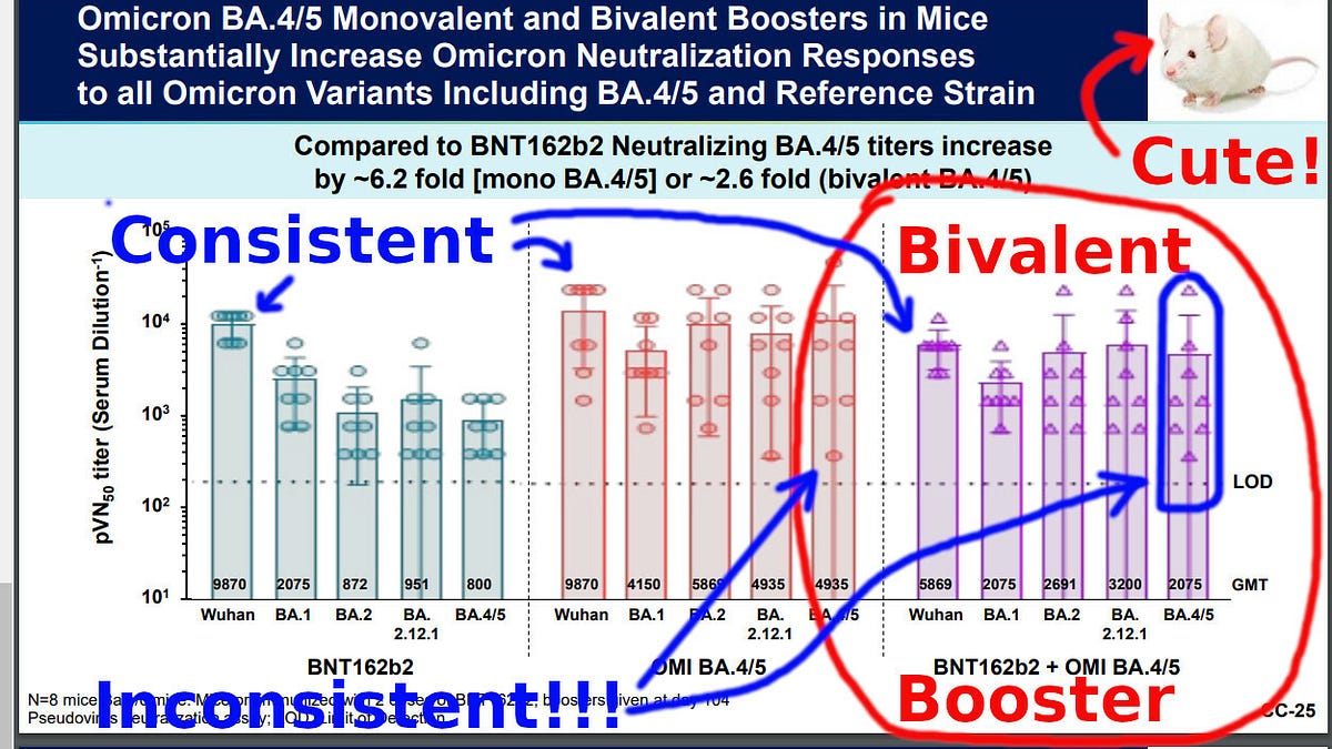igorchudov.substack.com