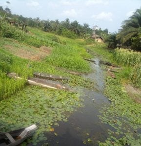 Depleting fish stocks in rural Bayelsa
