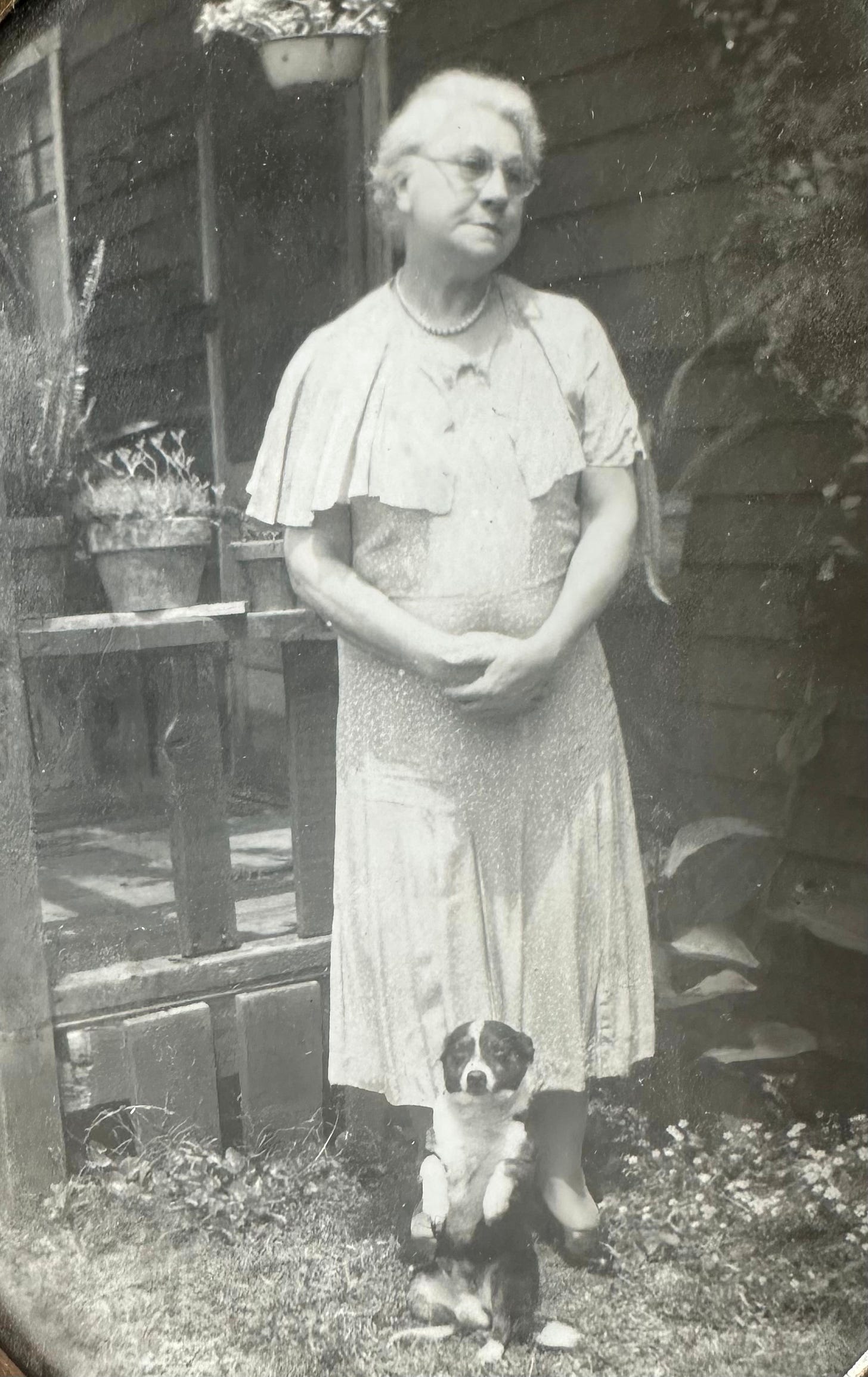Photo from early 1900s of woman & dog
