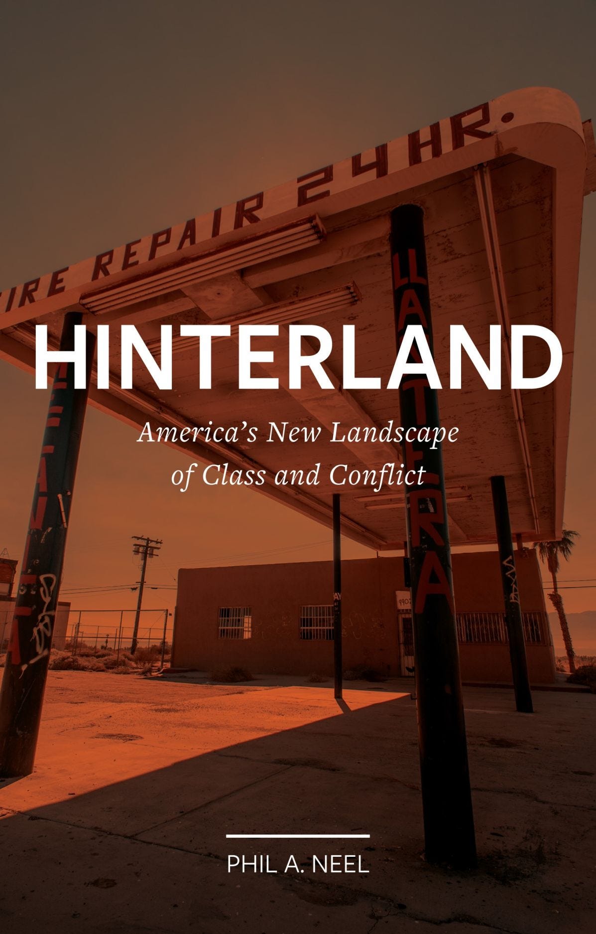 Hinterland: America's New Landscape of Class and Conflict, Neel