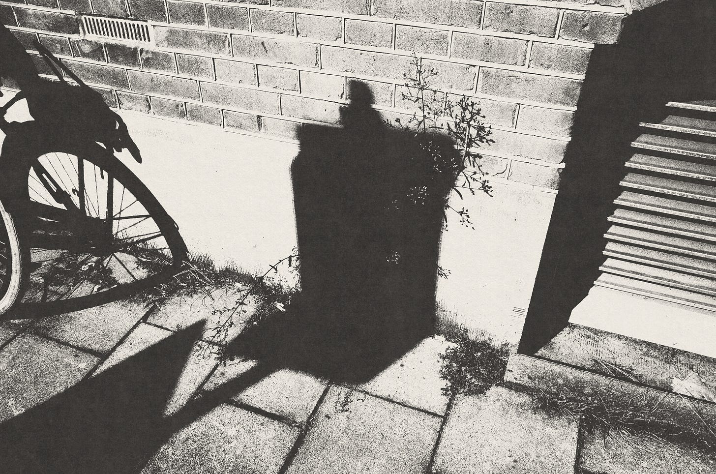 Black-and-white photograph showing a weed emerging from cracks in the footpath, overshadowed by a street sign. Nearby, the shadow of a bicycle tire falls across a wall.