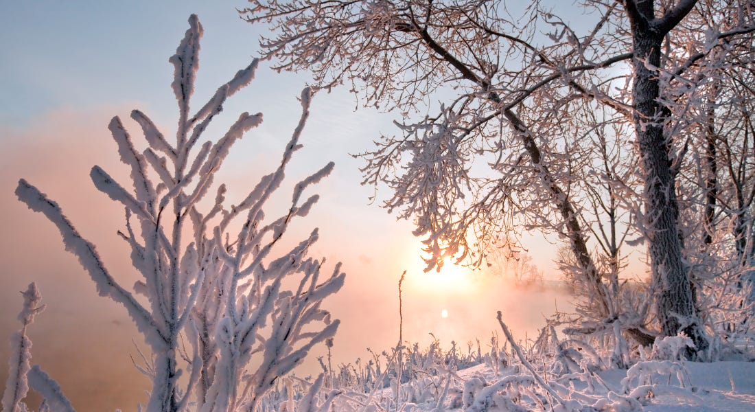 Nottingham January events — 10 things to do this month