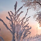 Nottingham January events — 10 things to do this month