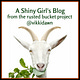 A Shiny Girl's Blog