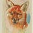 The Wise Fox Says
