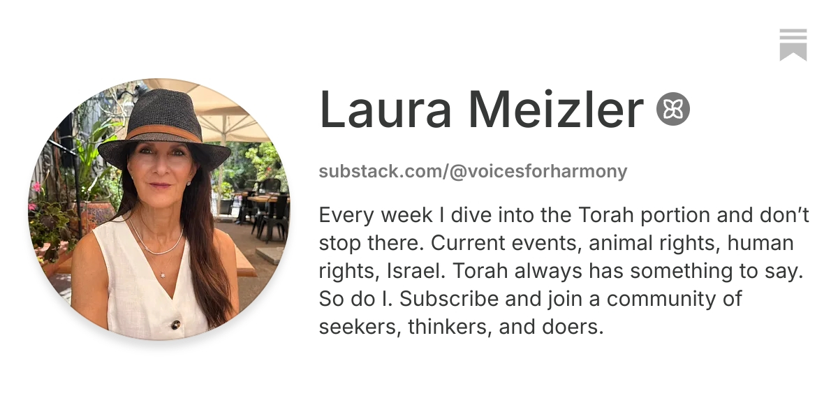 Laura Meizler | Substack