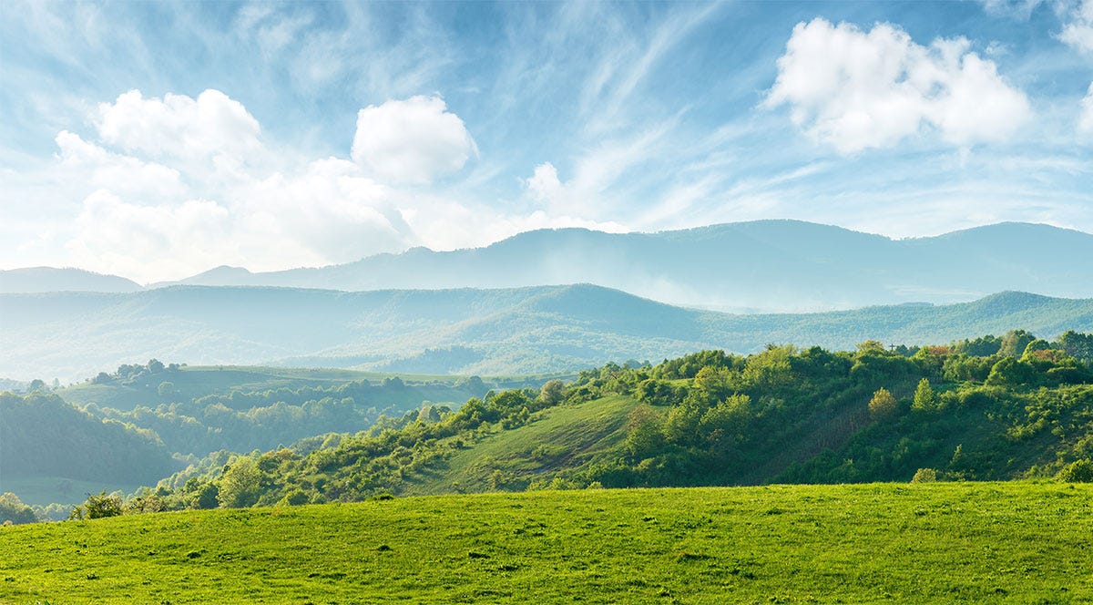 Unfortunately, Coronavirus Is Bad News For Ecology In The Long Term