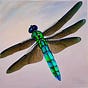 Big Blue Sky Dragonfly