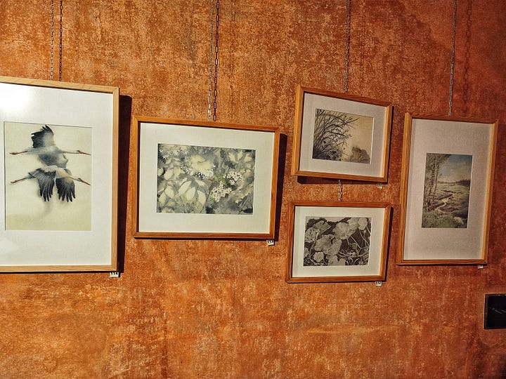 Opere di Joanna Concejo e Silvia Molteni in esposizione - Tutte le fotografie sono state realizzate da Jessica Paolillo.