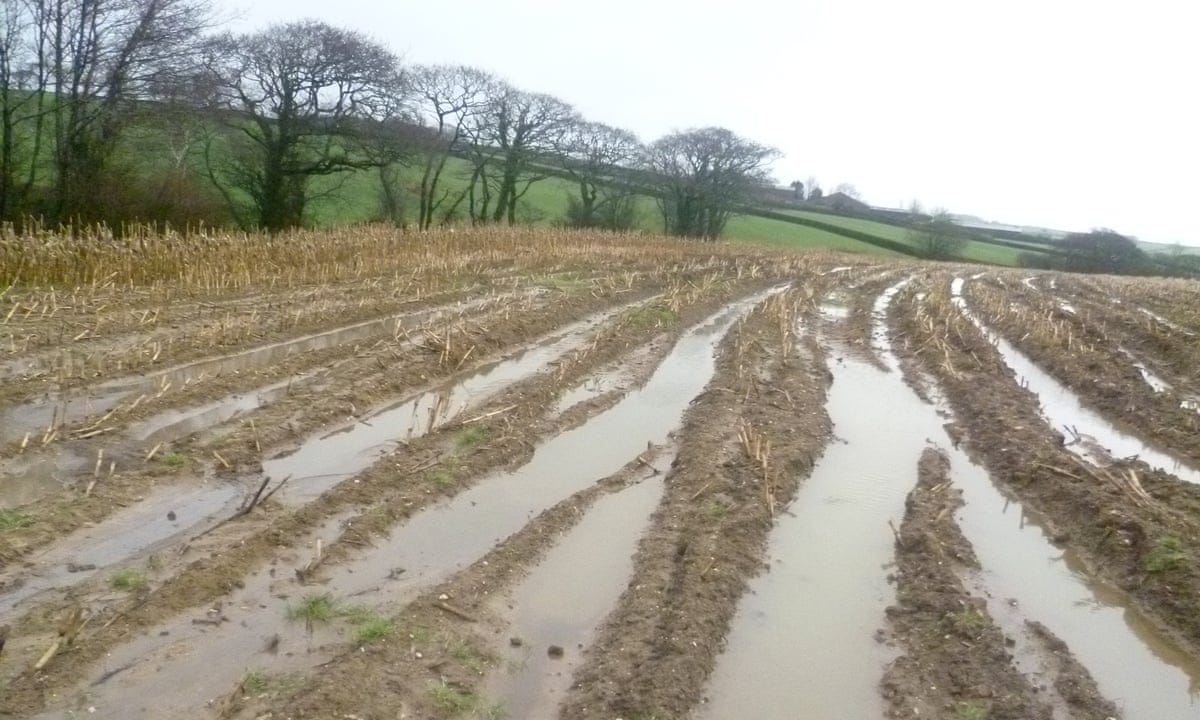 10m a year needed to ensure England's soil is fit for farming, report warns | Soil | The Guardian 10m a year needed to ensure England's soil is fit for farming, report warns | Soil | The Guardian