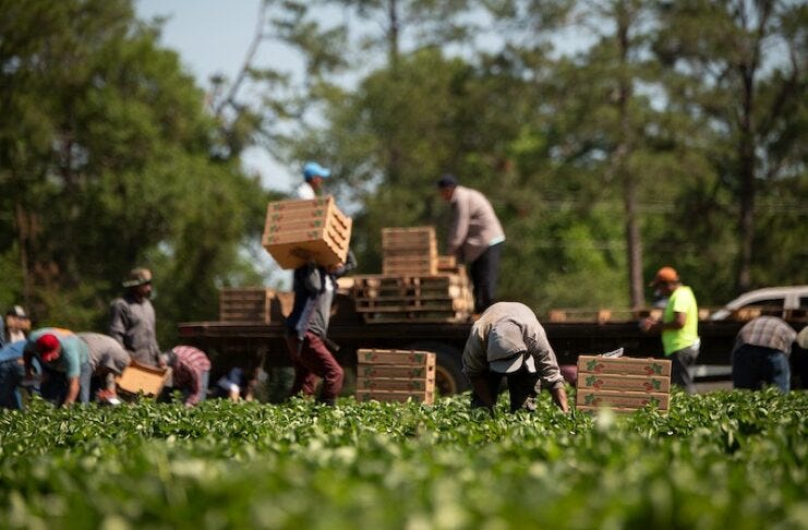Organización revela que la inmigración puede revertir el declive de la población rural de EEUU - Te Lo Cuento News Organización revela que la inmigración puede revertir el declive de la población rural de EEUU - Te Lo Cuento News