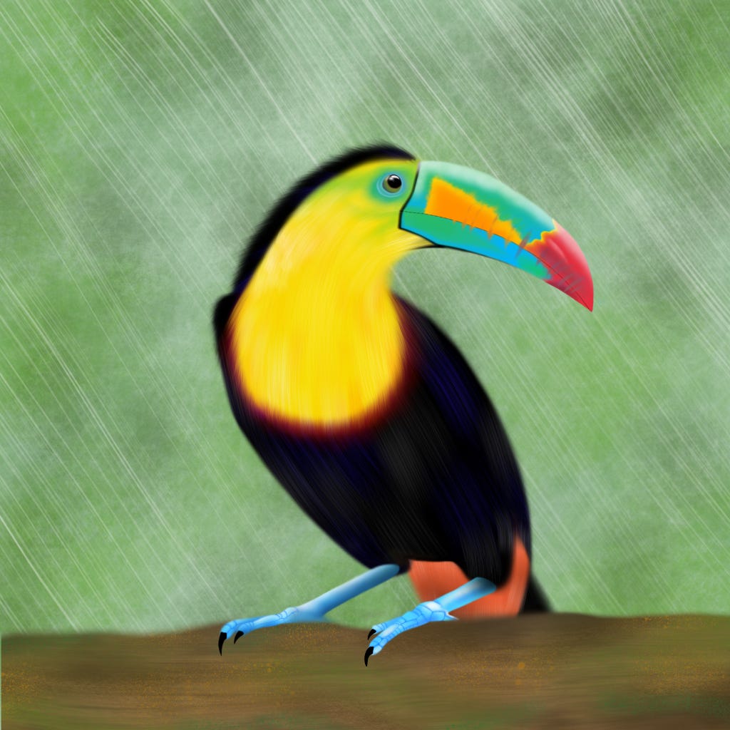 Linetsky_Toucan