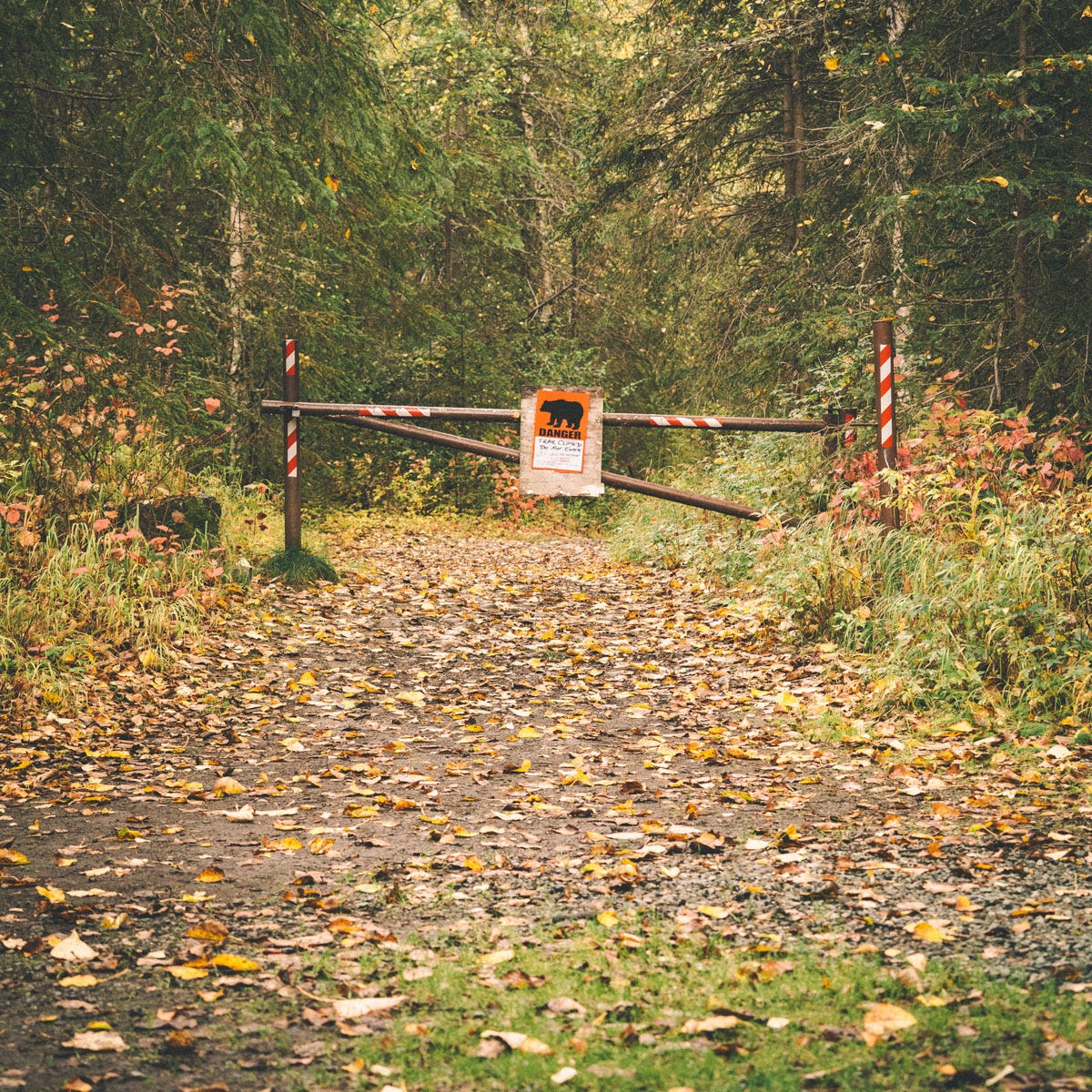 The bear gate on the Albert Loop Trail, Chugach State Park, Alaska.