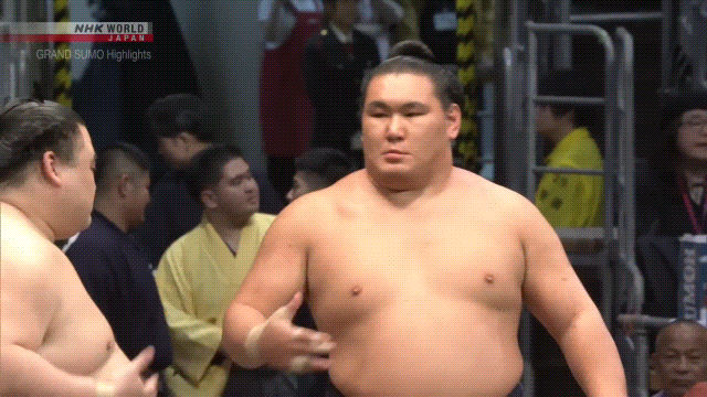 Sumo Stomp! | Tim Bissell | Substack