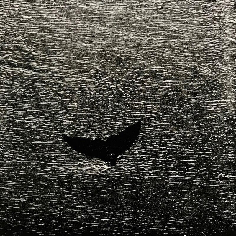 Vija Celmins | Seascape / Whale (1990) | Artsy