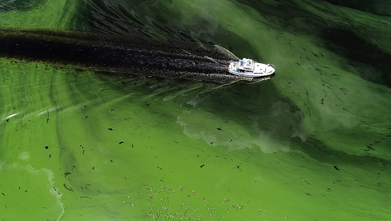Environmental groups sue Corps, federal agencies over toxic Lake O discharges Environmental groups sue Corps, federal agencies over toxic Lake O discharges