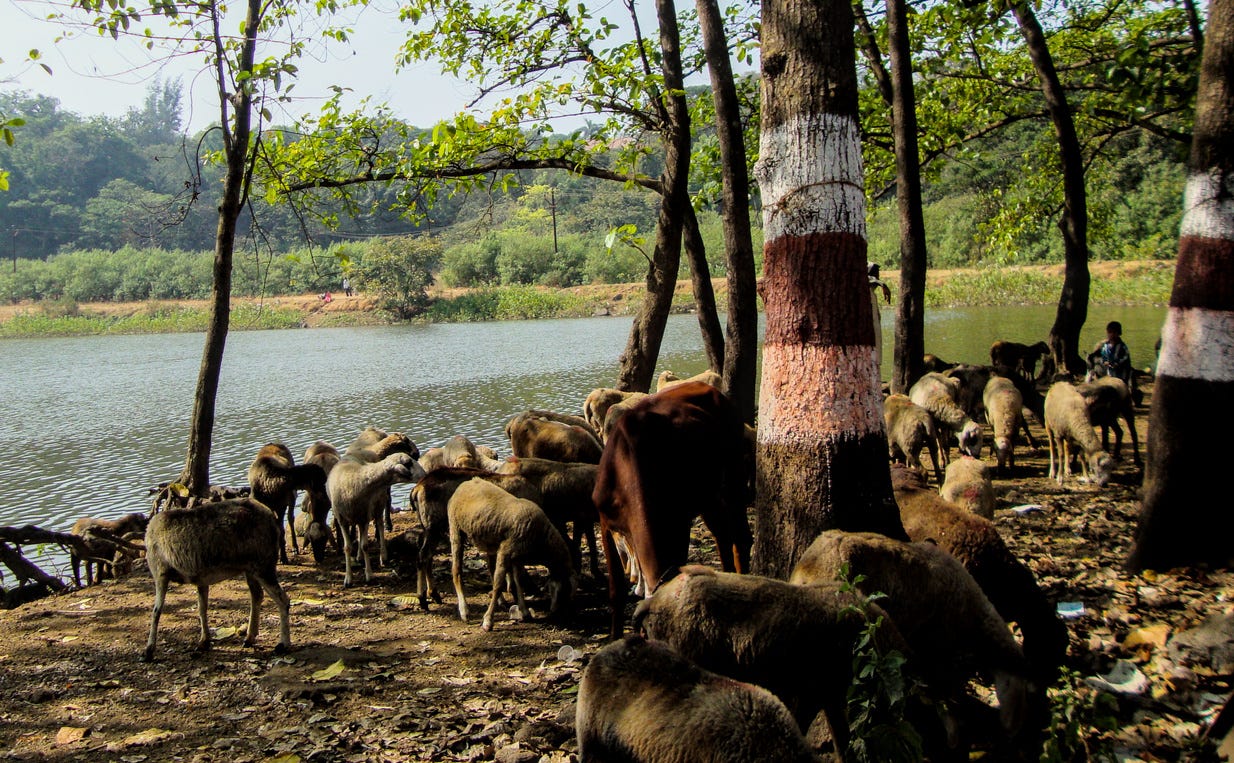 Khandala Lake