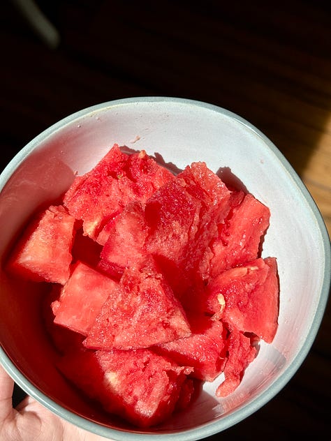 watermelon, coffee with garden, coffee with friends, patio partio, friends at party, party dish, husband and wife at wedding, shoes and weights, family