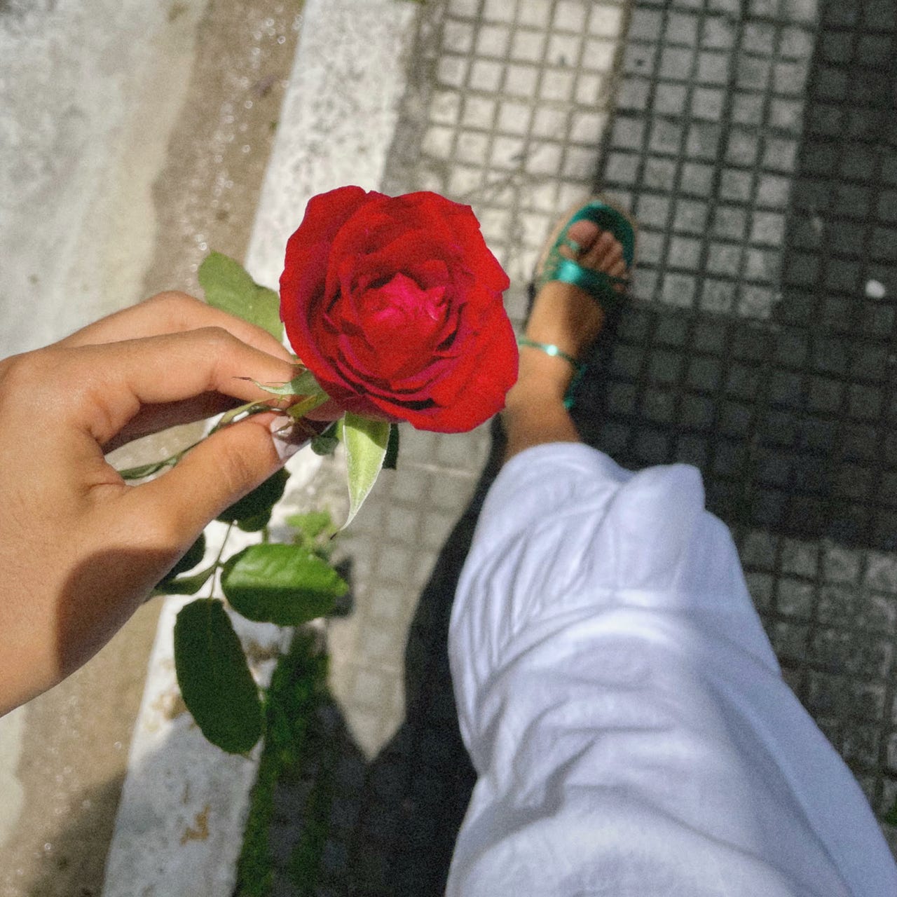 a palavra é minha âncora - por laura conti