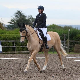 Impressive tests ridden at NIRC Dressage Championships