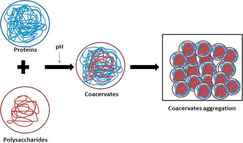 Coacervate - an overview | ScienceDirect Topics